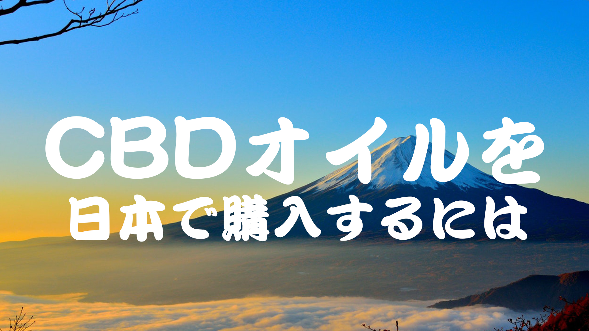 CBDオイルを日本で購入する方法とは